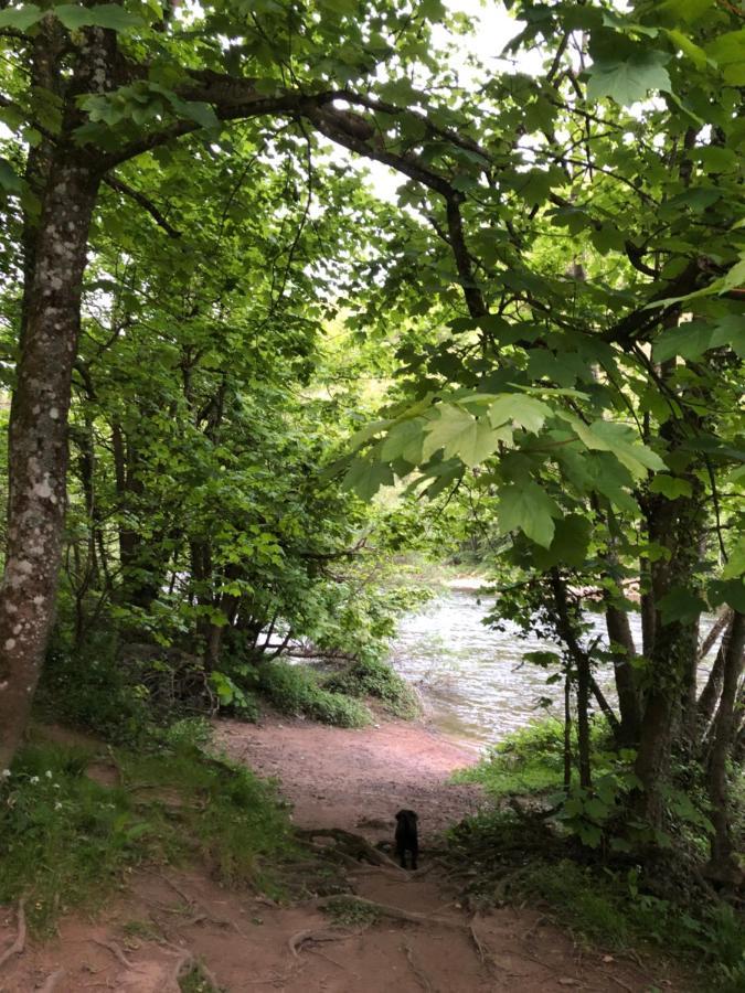 Symonds Yat - Herefordshire Property With Stunning Views Luaran gambar