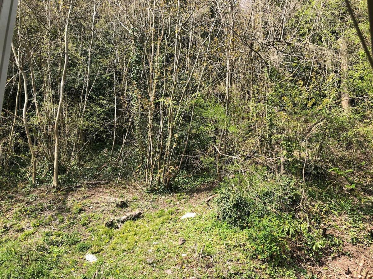 Symonds Yat - Herefordshire Property With Stunning Views Luaran gambar